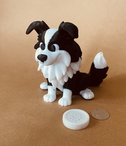 Border collie dog - collie, wobble