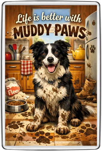 Border collie muddy paws funny - collie,