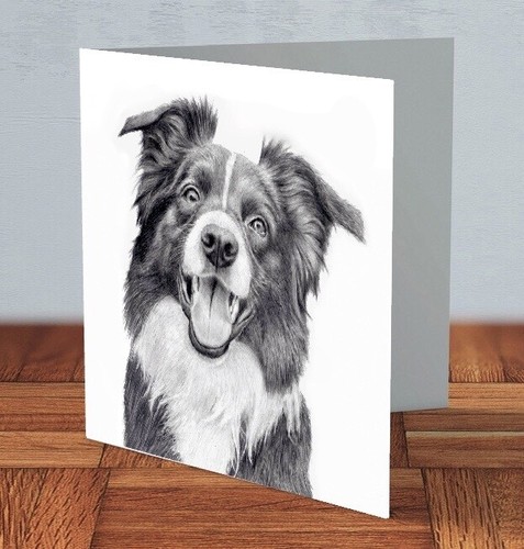Border collie greeting card - collie,