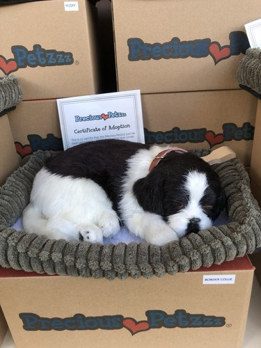 Precious petzzz border - petzzz,