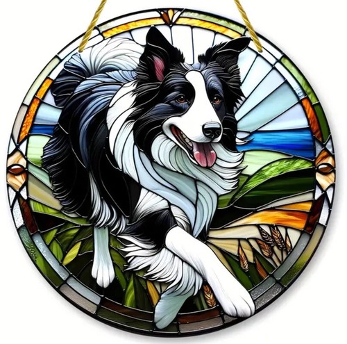 Border collie sheep farm dog - collie,