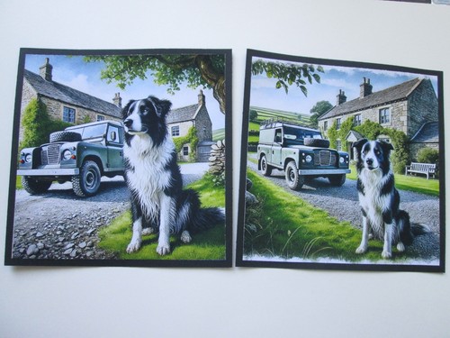 Set border collie land - 2,