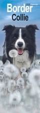 Border Collie Slim Calendar