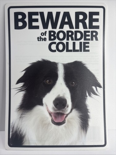 Dog sign border - dog, collie