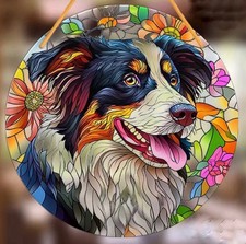 Border COLLIE Sheep Dog LARGE