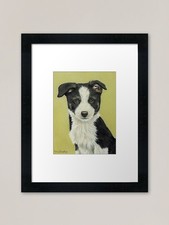 Border Collie Puppy Framed Art