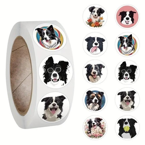 Border collie dog - border,