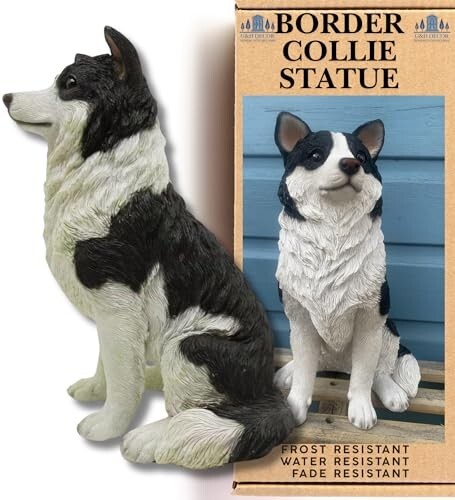 Border collie 5cm hand - border,