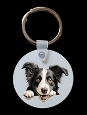 Peeking Peeping Border Collie