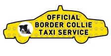 Funny BORDER COLLIE Taxi