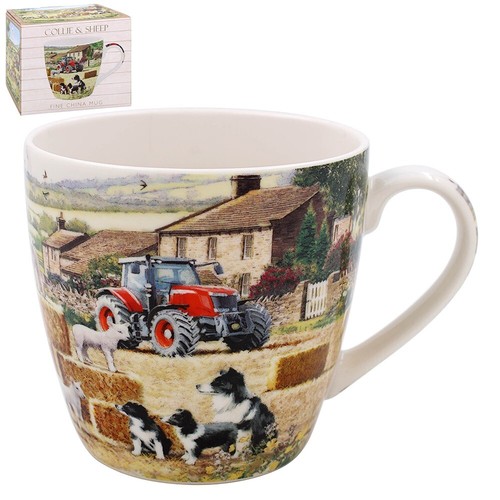 Border collie dog - dog, and