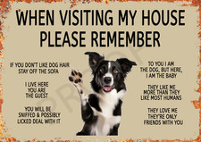 Funny Border Collie Aluminium