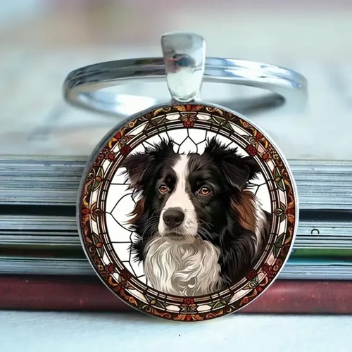 Border collie dog sheep - dog,