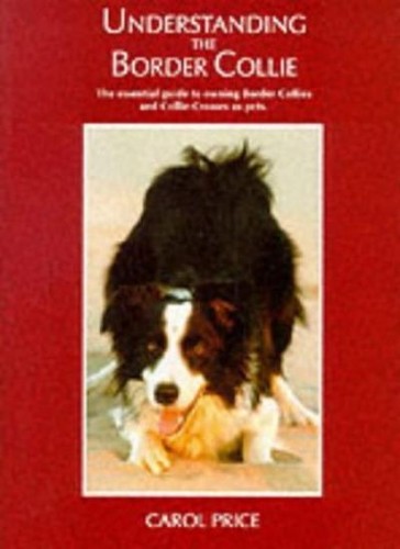 Understanding the border - understanding,