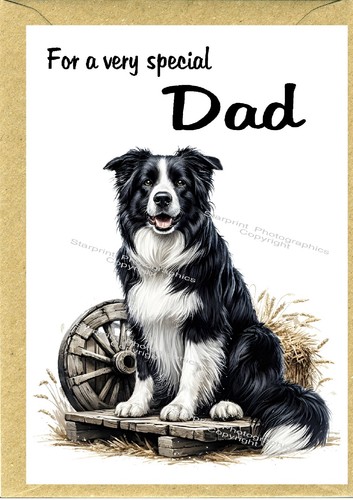 Border collie dog blank card - dog,