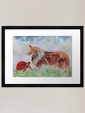 Border Collie and a Colourful