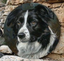 Retro Decorative Border Collie