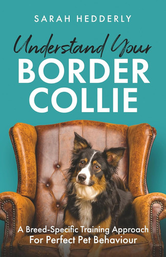 Understand your border - border, collie